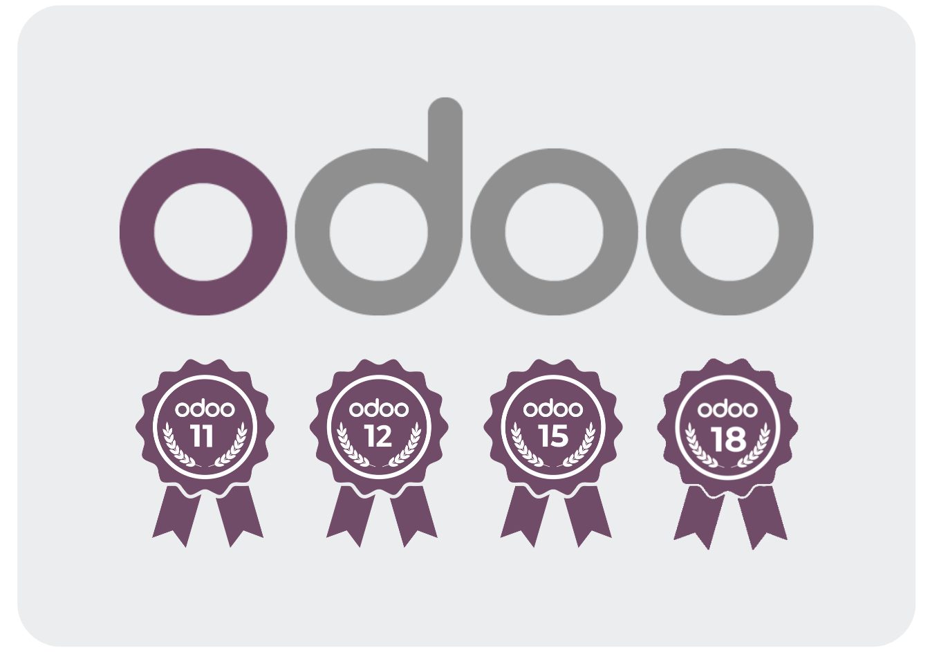 Odoo Official Partner Odoo Official Partner