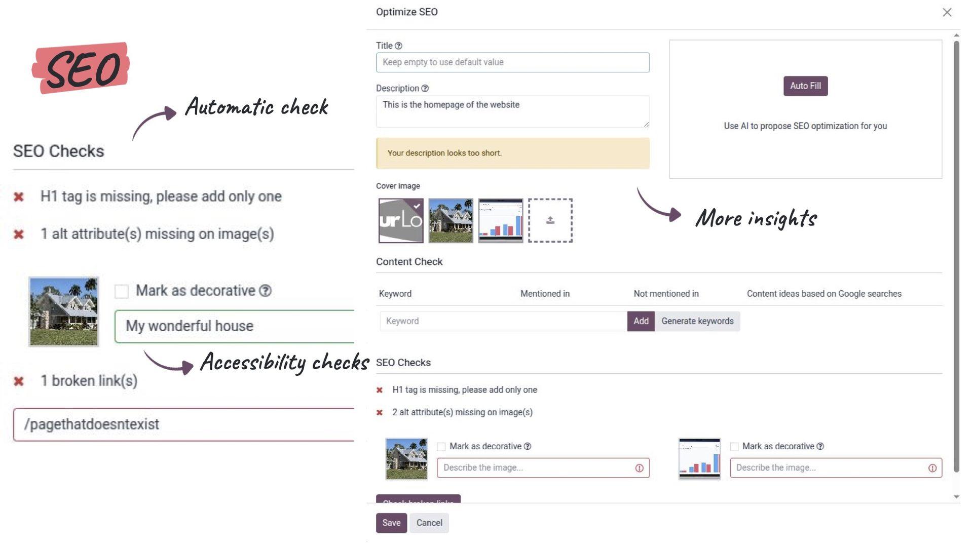 odoo19 website
