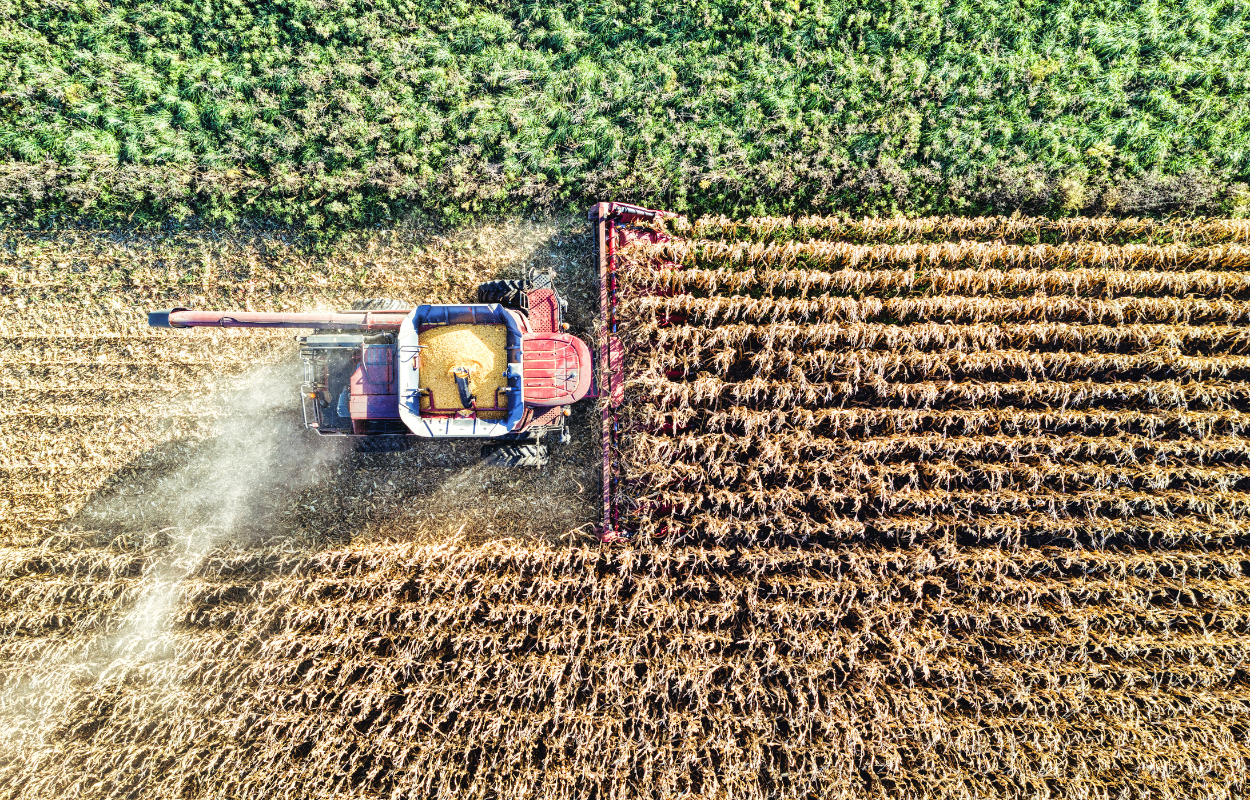 5 ปัญหาหลักที่ฉุดรั้งกำไรในอุตสาหกรรมเกษตร
