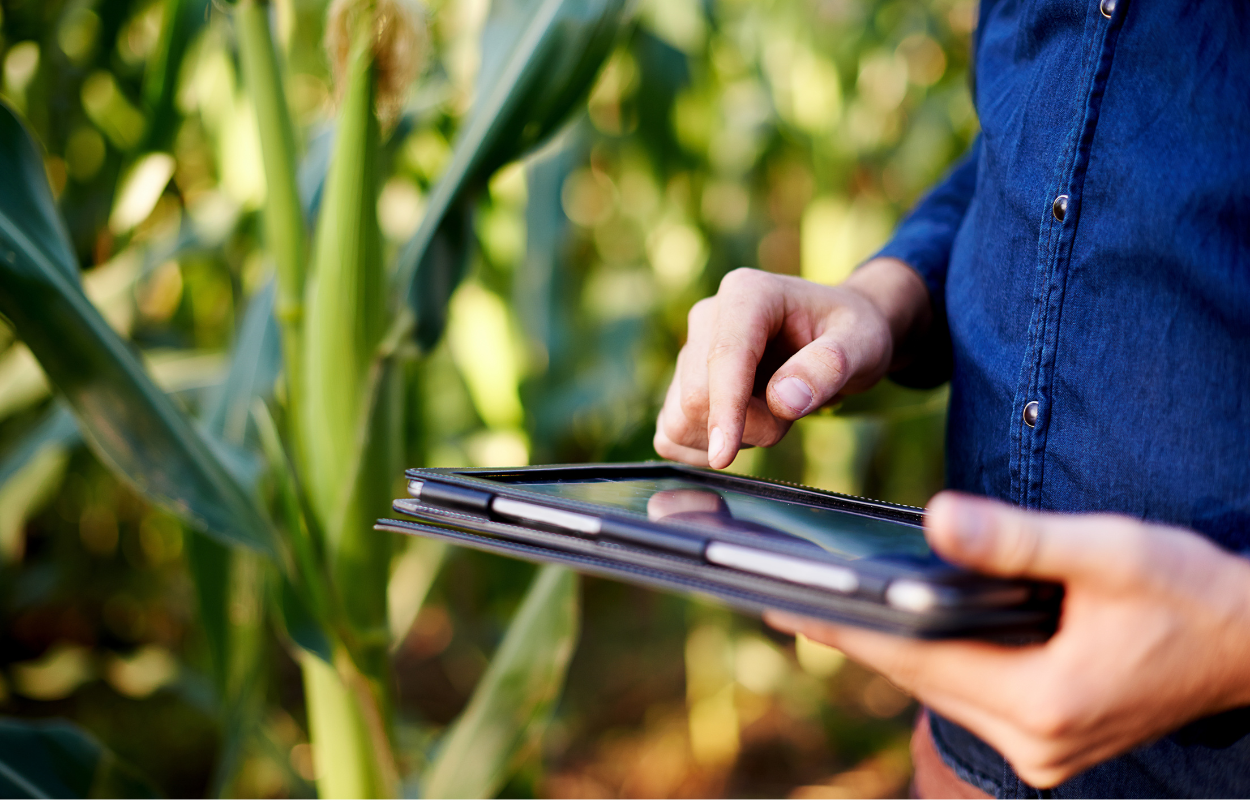 ระบบ ERP ช่วยแก้ไขปัญหาการบริหารผลผลิตทางการเกษตร